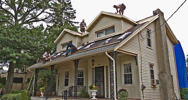 Best Roof Leak Repair  in De Soto, MO
